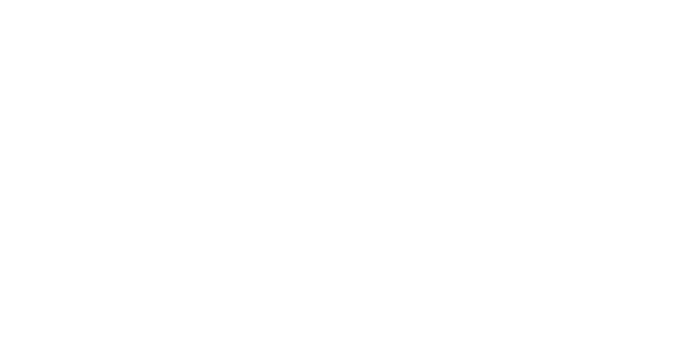 Česká spořitelna